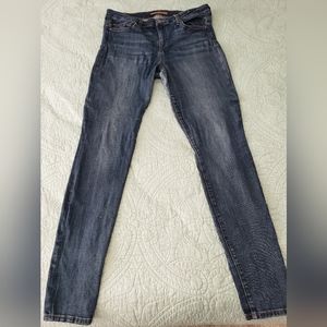 Joe's Jeans Women's The Skinny Blue Jeans